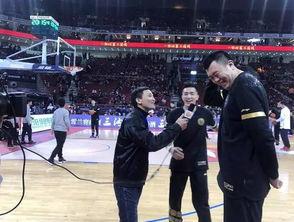 独家爆料每日大赛 明星排名大全,每日大赛明星排名大全，揭秘明星实力榜！